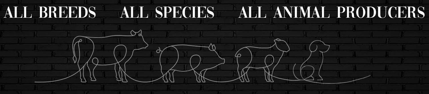 LWA All Breeds