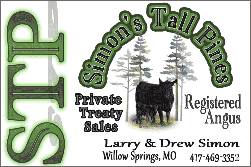 Simon's Tall Pines