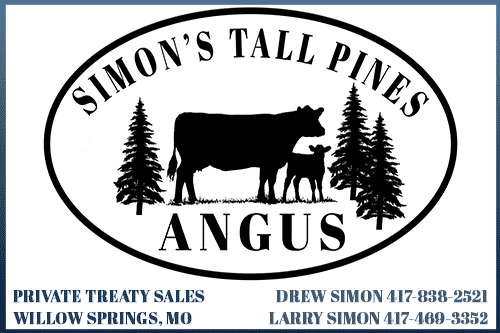 Simon's Tall Pines